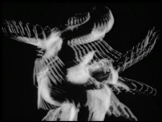 norman mclaren - pas de deux pa de de (1967) - cartoon. norman mclaren 1080p