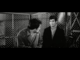 a phone ring to hell (1966) - noir, crime drama. hideo gosia 1080p