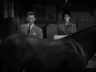 francis in the big city (1953) - melodrama, comedy. artur lubin