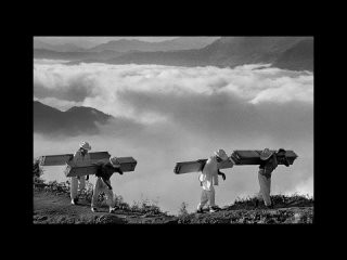 salt of the earth (2014) - documentary, biography, history. giuliano ribeiro salgado, wim wenders