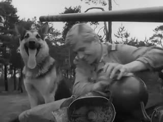 four tankers and a dog (1966–1970, episodes 1-7 of 21) - adventure, military konrad naletsky, andrzej czekalsky