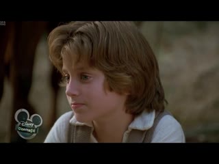 the adventures of huckleberry finn (1993) - drama, comedy, adventure. stephen sommers