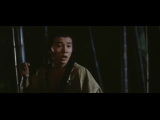 shaolin temple (1982) - action, drama. zhang xinyan